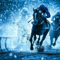 Traditional Horse Racing Betting for a Successful Race Night Party